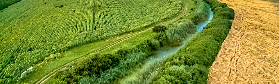 header-despre-nadab-2